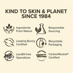 img 2 attached to 🌱 Безупречная тушь для ресниц Burt's Bees 100% натурального происхождения, черный коричневый - Долговечная формула для обольстительных ресниц - 0,4 унции.