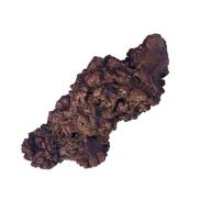 🌞 sunnyhill coprolite natural fossilized dung stone specimen 1.5-4" length, 0.35 lb weight - authentic prehistoric mineral logo
