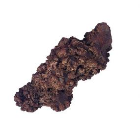 img 4 attached to 🌞 SUNNYHILL Coprolite Natural Fossilized Dung Stone Specimen 1.5-4" Length, 0.35 LB Weight - Authentic Prehistoric Mineral