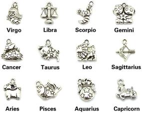 img 2 attached to 📿 JIALEEY Wholesale Bulk Lots Jewelry Making Silver Zodiac Sign Charms Smooth Tibetan Silver Metal Horoscope Charms Pendants DIY for Necklace Bracelet Jewelry Making and Crafting, Set of 9 - 108 Pieces