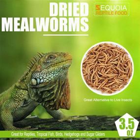 img 3 attached to 🦎 Dried Mealworms Reptile Food: Nourishing Diet for Bearded Dragon, Lizard, Turtles, Chameleon, and More!
