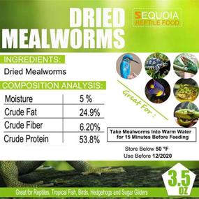 img 2 attached to 🦎 Dried Mealworms Reptile Food: Nourishing Diet for Bearded Dragon, Lizard, Turtles, Chameleon, and More!