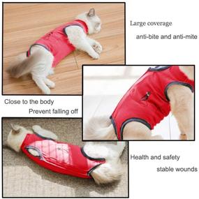 img 1 attached to 🐾 Coppthinktu Cat Recovery Suit for Abdominal Wounds or Skin Diseases - Enhanced Breathable Surgical Recovery Suit for Cats - E-Collar Alternative Post-Surgery Wear - Prevents Licking Wounds Effectively