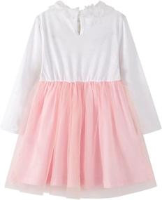 img 3 attached to 👑 BIBNice Little Princess Dresses D20 B08: Adorable Girls' Clothing