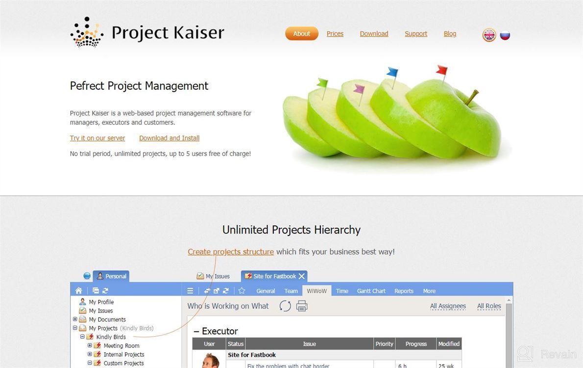 img 1 attached to Project Kaiser review by Justin Woolley