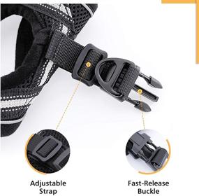 img 1 attached to 🐱 rabbitgoo Escape Proof Cat Harness and Leash Set - Adjustable Soft Vest with Reflective Strip for Small Cats, Ideal for Walking and Comfortable Outdoor Activities