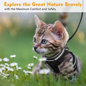 img 3 attached to 🐱 rabbitgoo Escape Proof Cat Harness and Leash Set - Adjustable Soft Vest with Reflective Strip for Small Cats, Ideal for Walking and Comfortable Outdoor Activities