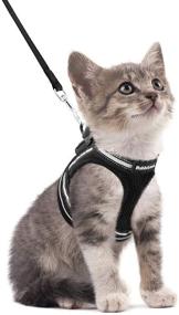 img 4 attached to 🐱 rabbitgoo Escape Proof Cat Harness and Leash Set - Adjustable Soft Vest with Reflective Strip for Small Cats, Ideal for Walking and Comfortable Outdoor Activities