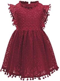 img 2 attached to 👗 Csbks Toddler Girls Elegant Retro Swing Party Dress with Cute Pompoms, Lace, and Floral Designs