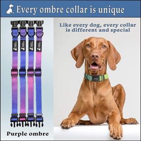 img 3 attached to Fuzzy Friends - Ombre Dog Collar & Leash Set with Boho Tie-Dye Colors for Cool, Luxury Style. Perfect Female/Male Dog Collar.