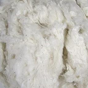 img 2 attached to 🌾 Organic Raw Cotton Fiber - A Pound of Natural Color