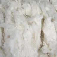 🌾 organic raw cotton fiber - a pound of natural color logo