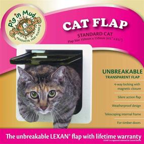 img 1 attached to 🐱 Ideal Pet Products Cat Flap Door - 4-Way Lock, 6.25"x 6.25" Flap Size, Cream (SPF) - Enhanced SEO