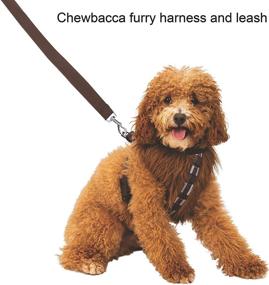 img 3 attached to Rubies Classic Chewbacca Harness Leash