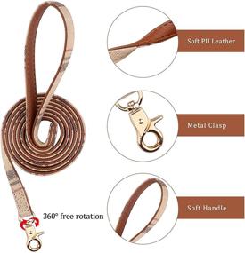 img 1 attached to Stylish 3 PCS Dog Collars Set with Leash, Bow Tie, Bandana, and Bell for Small Dogs, Puppies, and Cats (Beige)