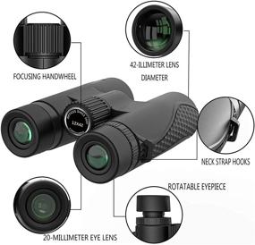 img 3 attached to HD High Power Binoculars for Adults - Ideal for Bird Watching, Hunting, Outdoor Sports, and Travel - 12x42 Zoom with Easy Focus, Clear Low Light Night Vision