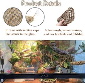 img 1 attached to Tfwadmx Reptile Tank Accessories: Bearded Dragon Hammock and Climber Vines with 🦎 Natural Seagrass Habitat, Flexible Leaves Decor for Climbing Chameleon, Hermit Crabs, Gecko, and Snakes