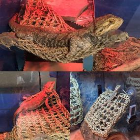 img 3 attached to Tfwadmx Reptile Tank Accessories: Bearded Dragon Hammock and Climber Vines with 🦎 Natural Seagrass Habitat, Flexible Leaves Decor for Climbing Chameleon, Hermit Crabs, Gecko, and Snakes
