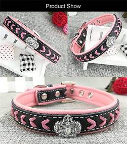 img 1 attached to 🐾 Nylon Woven Dog Collar and Lead Set with Leather Diamante Bling, Newtensina Puppy Collar and Leash for Dogs