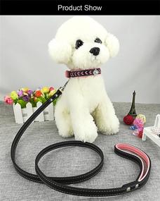 img 2 attached to 🐾 Nylon Woven Dog Collar and Lead Set with Leather Diamante Bling, Newtensina Puppy Collar and Leash for Dogs