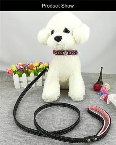 img 3 attached to 🐾 Nylon Woven Dog Collar and Lead Set with Leather Diamante Bling, Newtensina Puppy Collar and Leash for Dogs