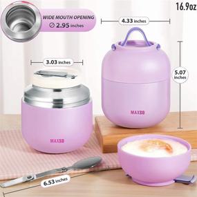 MAXSO Pink Soup Thermos for Hot Food 17 oz Stainless Steel Vacuum Insulated