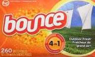 🌿 discover bounce outdoor fresh (old version) - 260 sheets for effortless freshness outdoors logo