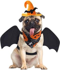 img 4 attached to 🐾 Zeaxuie Pet Halloween Costumes for Dogs and Cats: Spooktacular Dress-Up Styles