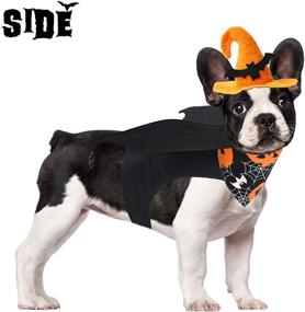 img 2 attached to 🐾 Zeaxuie Pet Halloween Costumes for Dogs and Cats: Spooktacular Dress-Up Styles