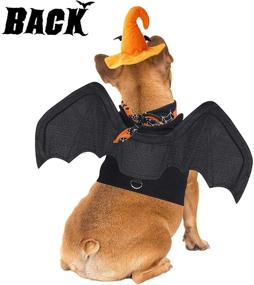 img 3 attached to 🐾 Zeaxuie Pet Halloween Costumes for Dogs and Cats: Spooktacular Dress-Up Styles