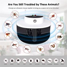 img 3 attached to 🐀 Diaotec Indoor 360° Ultrasonic Rat Repeller: Squirrel Repellent, Mice Deterrent, Plug-in Mouse Blocker, with 4 Modes for Mosquitoes, Spiders, Mites, Bugs, Cockroaches - Safe for Pets