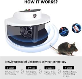 img 2 attached to 🐀 Diaotec Indoor 360° Ultrasonic Rat Repeller: Squirrel Repellent, Mice Deterrent, Plug-in Mouse Blocker, with 4 Modes for Mosquitoes, Spiders, Mites, Bugs, Cockroaches - Safe for Pets