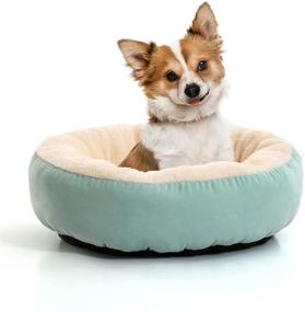 img 4 attached to Suede Round Dog Bed with Bolster, Hardy Buddy Cat Bed and Pet Sofa with Non-Slip Bottom