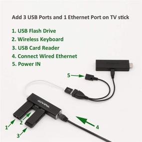 img 2 attached to 🔌 AuviPal LAN Ethernet Adapter with USB OTG Hub for Streaming TV Stick, Chromecast, Google Home Mini, Raspberry Pi Zero - Enhanced Connectivity with 3 Port USB OTG Hub and Micro USB OTG Cable Included