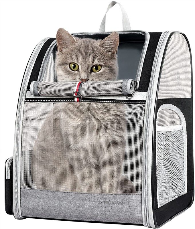 backpack upgraded portable ventilated backpacks 로고