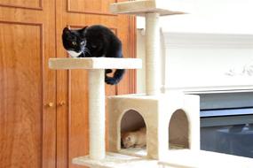 img 3 attached to Premium Beige 70-Inch GleePet GP78700621 Cat Tree with Ramp: The Ultimate Paradise for Your Feline Companion