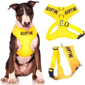 img 4 attached to Dexil Limited Adopt ME Yellow Color Coded Non-Pull Front and Back D Ring Padded and Waterproof Vest Dog Harness - Promote Pet Safety by Alerting Others to Your Dog's Needs