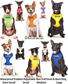 img 1 attached to Dexil Limited Adopt ME Yellow Color Coded Non-Pull Front and Back D Ring Padded and Waterproof Vest Dog Harness - Promote Pet Safety by Alerting Others to Your Dog's Needs