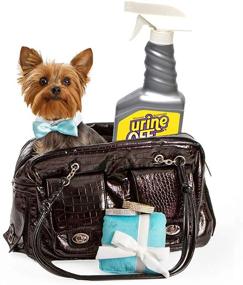 img 1 attached to 🐾 Powerful Urine Off Multi-Pet Stain & Odor Remover - 16.9oz Spray Top + Carpet Injector Cap