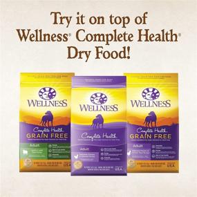 img 1 attached to 🐶 High-Quality Wellness 95% Grain Free Wet Dog Food – Natural & Limited Ingredients – 13.2oz Can (Pack of 12)