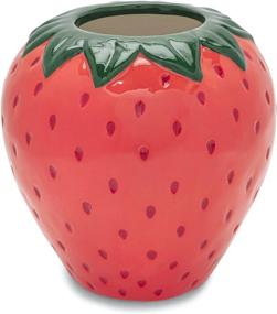 img 4 attached to ban.do Vintage Ceramic Vase: Strawberry Fields Decorative Accent for Home, Kitchen, Office