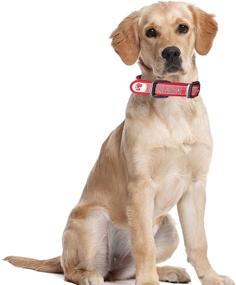 img 3 attached to 🐶 Dublin Dog Original No Stink Collar - Waterproof, Bacteria Free Dog Collar for Medium & Large Dogs