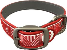 img 4 attached to 🐶 Dublin Dog Original No Stink Collar - Waterproof, Bacteria Free Dog Collar for Medium & Large Dogs