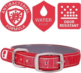 img 2 attached to 🐶 Dublin Dog Original No Stink Collar - Waterproof, Bacteria Free Dog Collar for Medium & Large Dogs