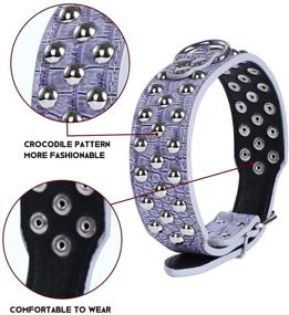 img 3 attached to 🐶 Stylish Studded Leather Dog Collars by Rachel Pet Products: 3 Rows of Silver Rivets for Medium/Large Dogs in Various Colors