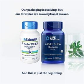 img 2 attached to 🌿 Увеличьте долголетие с капсулами Life Extension 7-Keto DHEA 100 мг - 60 вегетарианских капсул (120 штук)