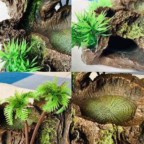 img 3 attached to 🦎 Resin Reptile Platform: Artificial Tree Trunk Food Water Dish Bowl for Bearded Dragon, Lizard, Gecko, Water Frog, Snake – PINVNBY