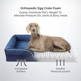 img 3 attached to 🐶 Premium Orthopedic Dog Bed with Removable Washable Cover - Ideal for Medium/Large/Extra Large Dogs - Waterproof & Nonskid Bottom Sofa from Bedsure