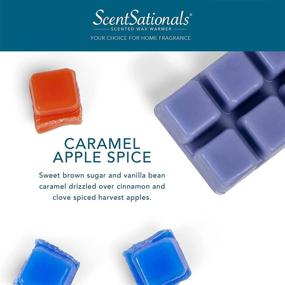 img 3 attached to Scentsationals Caramel Apple Spice Scented Wax Fragrance Melts - Wax Cubes Pack for Home Warmer Tart, Electric Wickless Candle Bar Air Freshener, Spa Aroma Decor Gift - 2.5 oz (4-Pack)