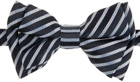img 1 attached to Retreez Modern Stripe Microfiber Pre Tied Boys' Accessories in Bow Ties